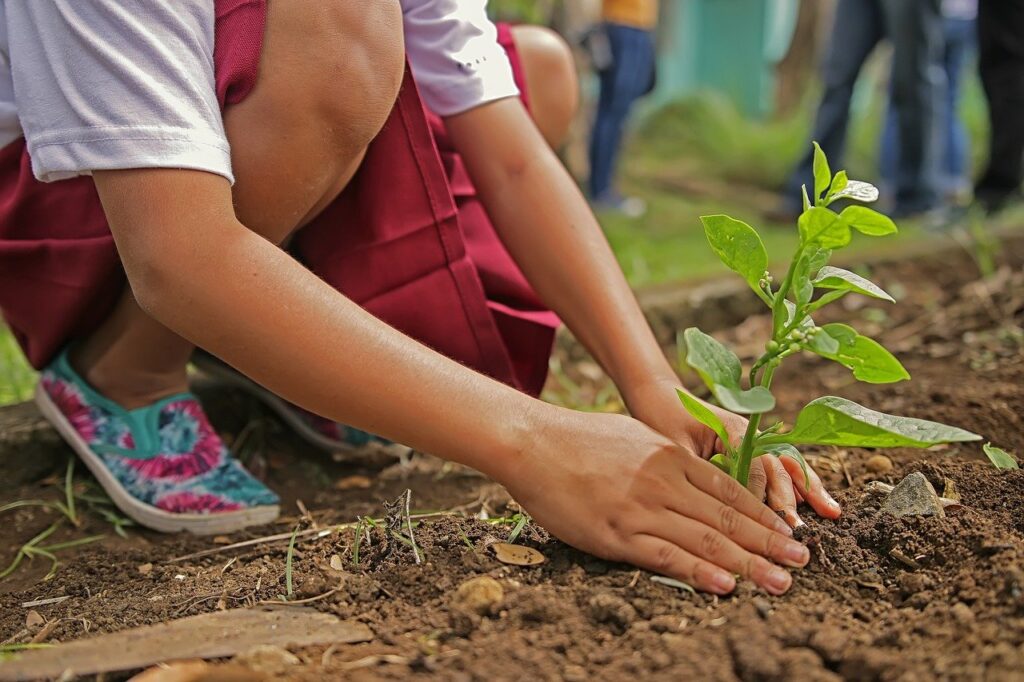 planting, environment, nature